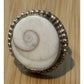Shiva Eye Shell Pacific Cat's Eye Ring Size 8.5 Boho Beach Ring Healing Ring