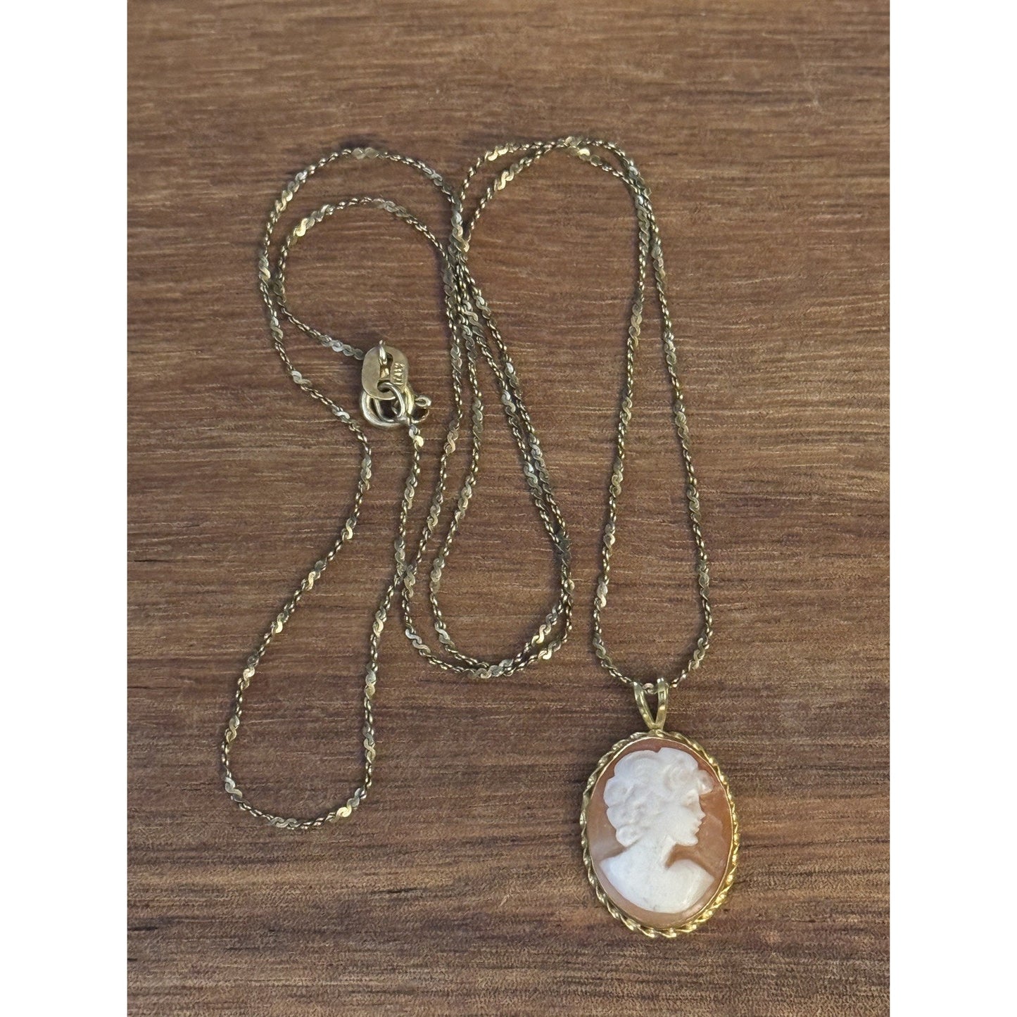 Vintage 14K Solid Gold ZZ Cameo Pendant 2g w/ 20” Italy Danecraft 925 Gold Chain