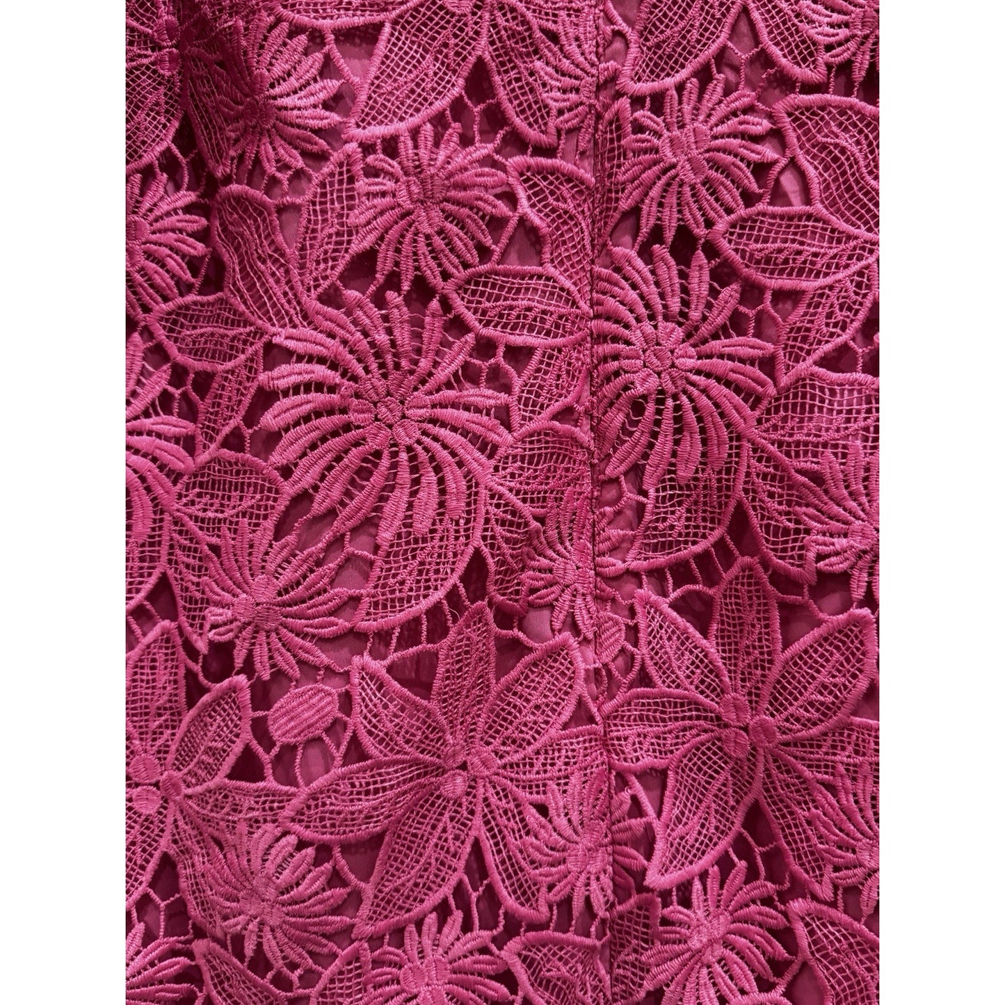 Kobi Halperin Edna Cold Shoulder Embroidered Floral Lace Pink Dress Size 6