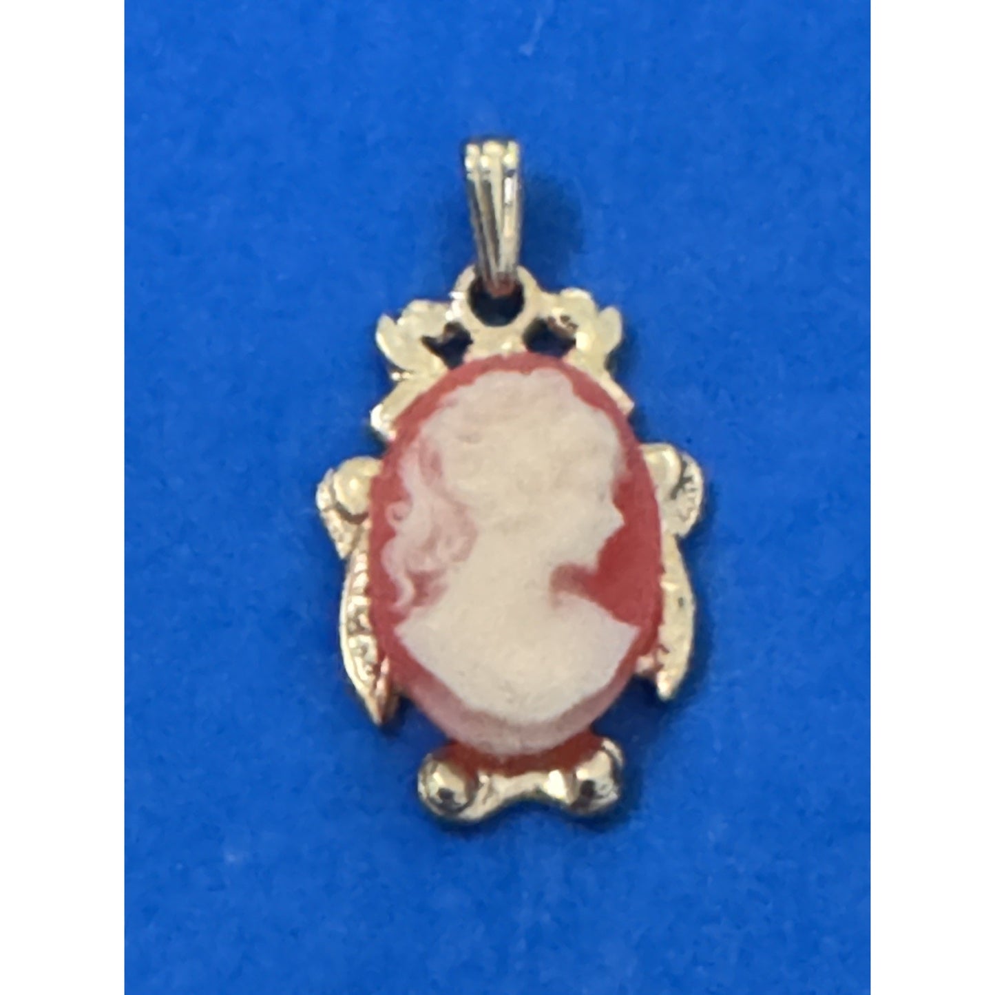 Vintage Cameo Pendant Turtle Frame Gold Tone Red White Lady 1.25"