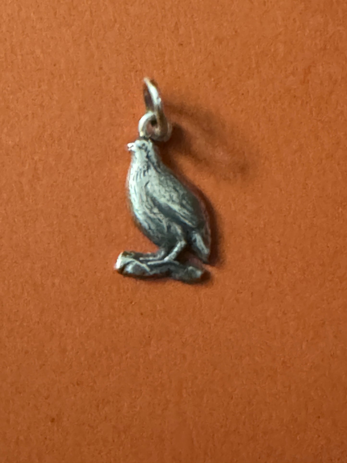 Pre Owned James Avery Retired RARE Silver Charm