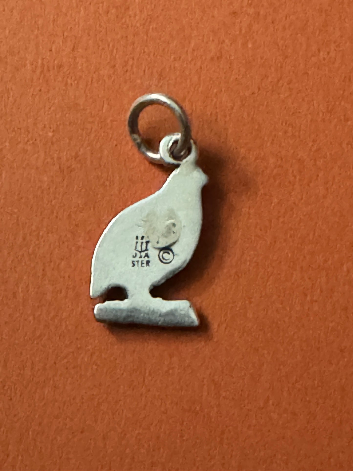 Pre Owned James Avery Retired RARE Silver Charm