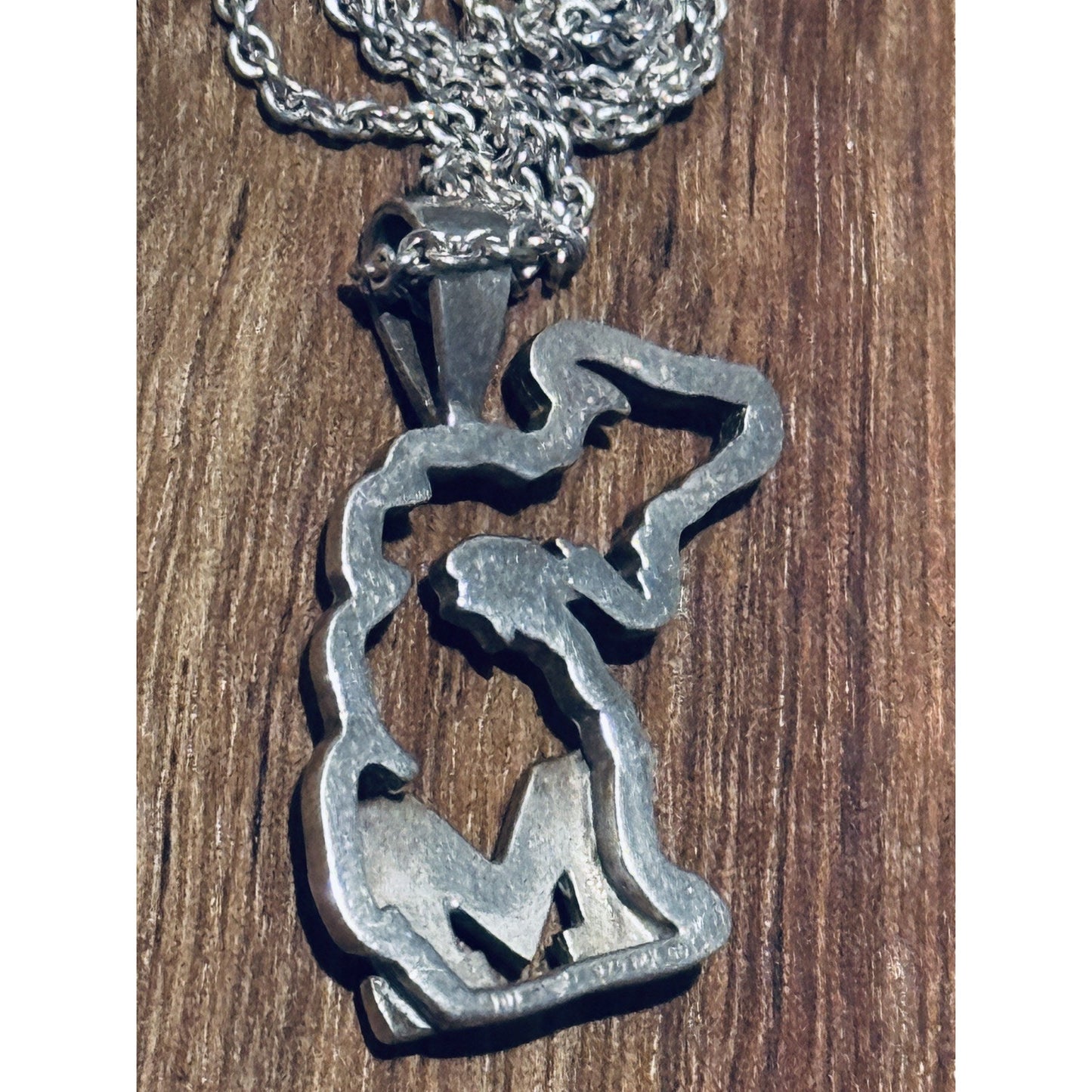 Michigan State Wolverines Sterling Silver Pendant and 17” Necklace