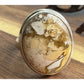 Sterling Silver Picture Jasper Ring 925 Size 7.5 Natural Earth Tone Stone