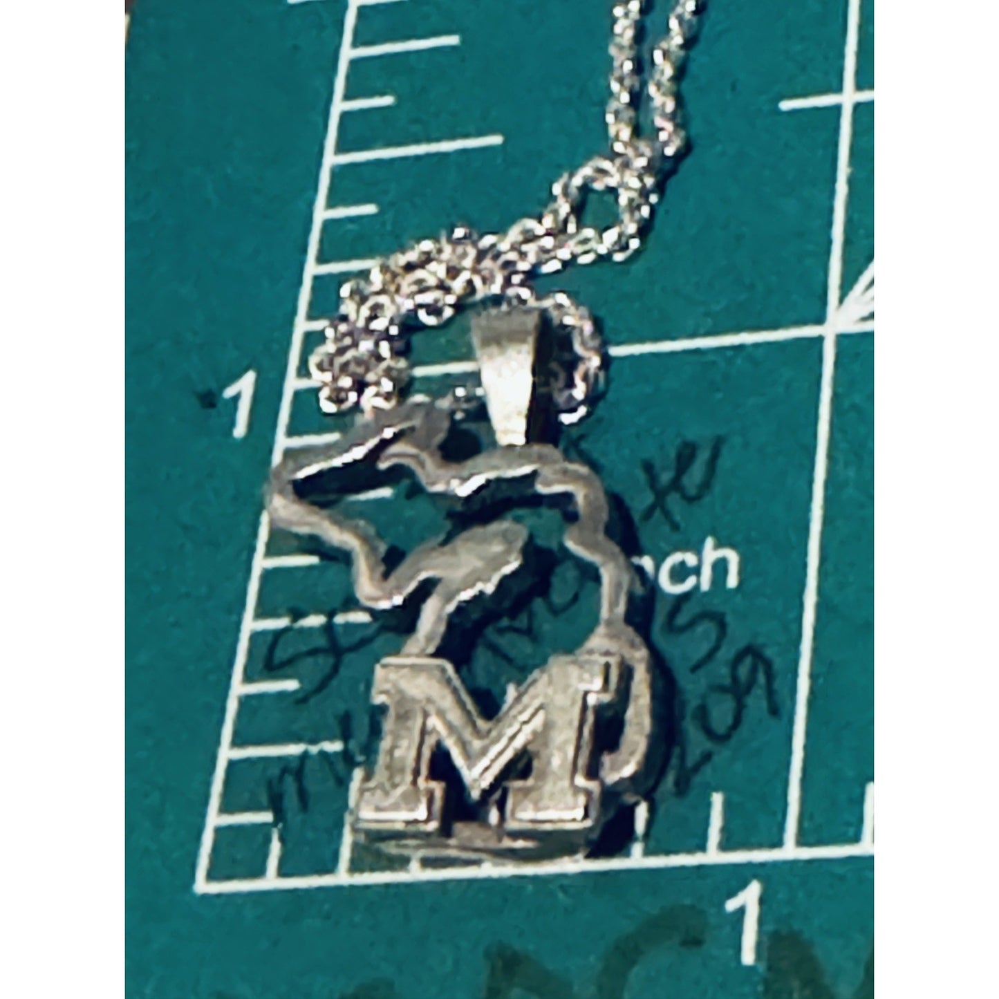 Michigan State Wolverines Sterling Silver Pendant and 17” Necklace